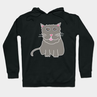 The Gray Kitty Blipping Hoodie